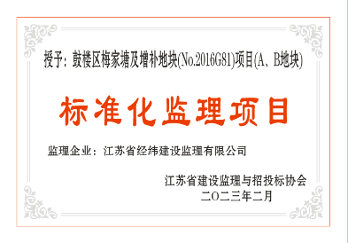 2022年標準化監理項目